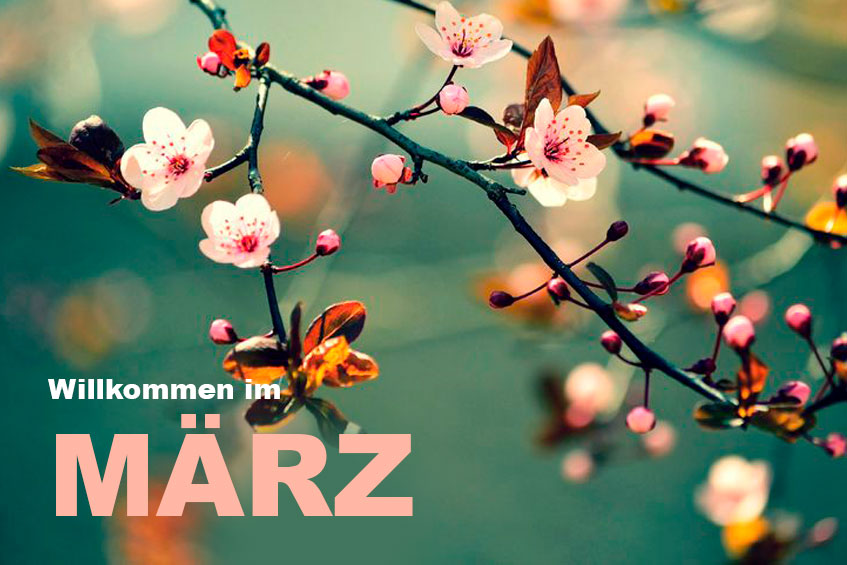 Wieso ist schon wieder März? - Werbeagentur Wüst
